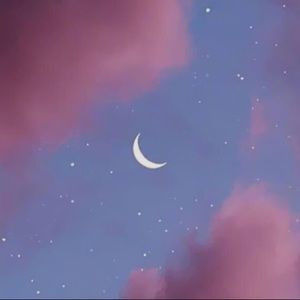 Meet your Posher, Martha